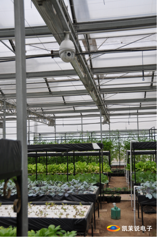 1725436045860101.png image.png