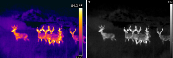 熱像儀是如何工作的？